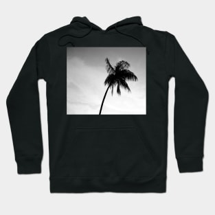 Palmtree black&white Hoodie